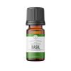Basil | 10 ml