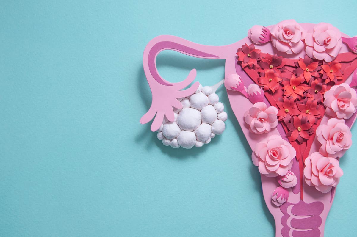 Ovaries made from flowers demonstrating PCOS