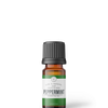Peppermint | 10 ml