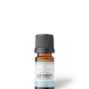 Air Purify | 10 ml