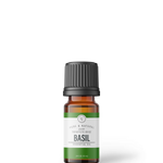 Basil | 10 ml