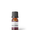 Black Spruce | 10 ml