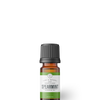 Spearmint | 10 ml