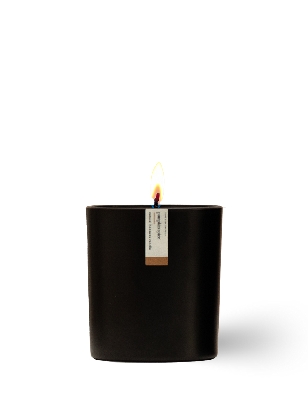Pumpkin Spice Beeswax Candle | 8.75 oz