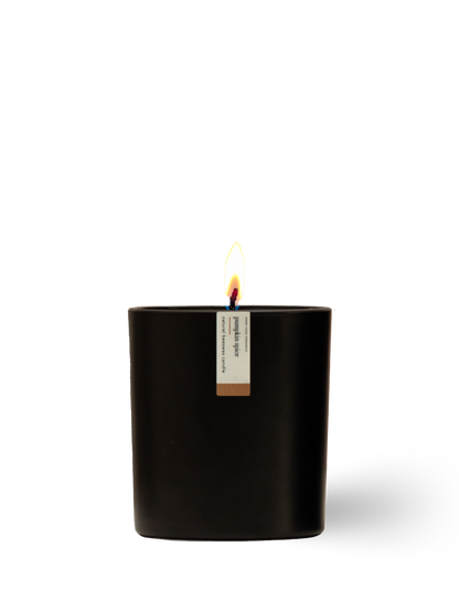 Pumpkin Spice Beeswax Candle | 8.75 oz