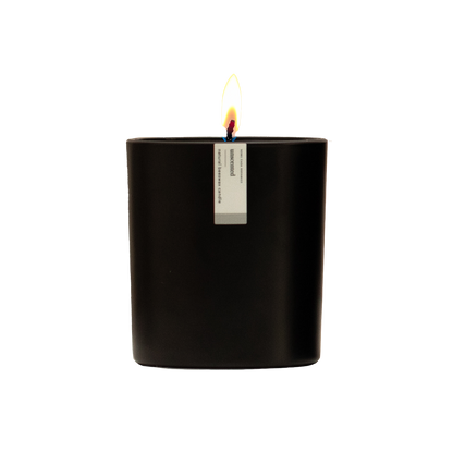 UNSCENTED BEESWAX CANDLE | 8.75 OZ