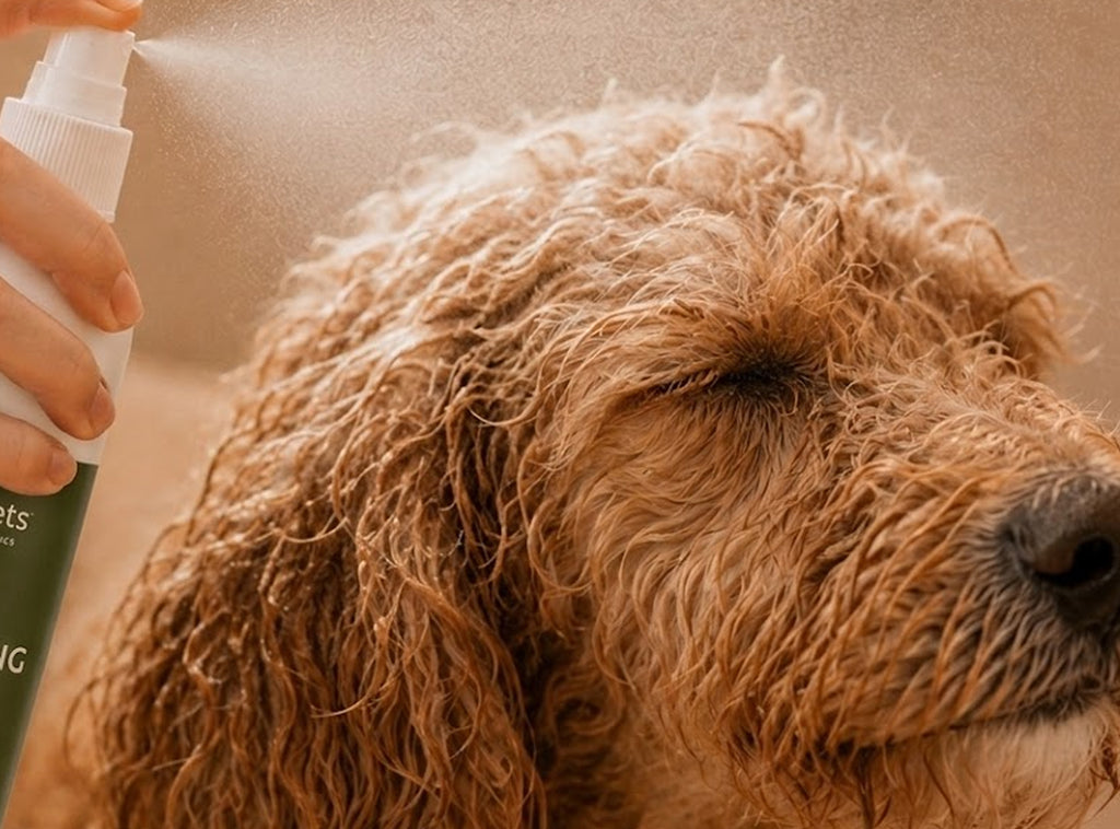 Dog Detangling Spray | 12 oz
