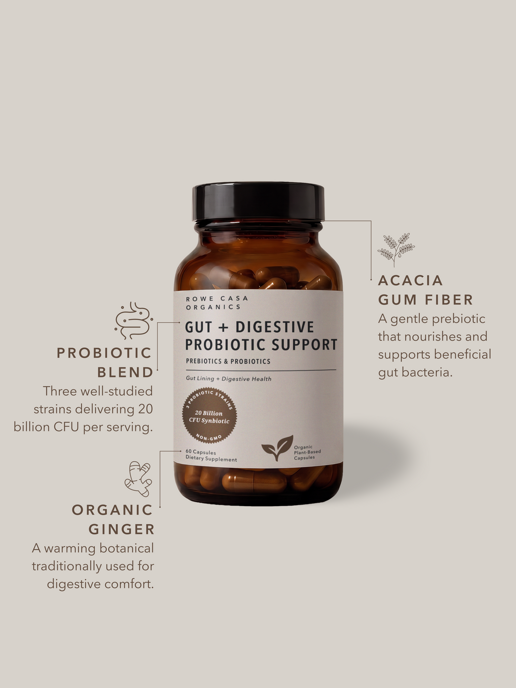 Gut + Digestive Probiotic Support | 60 Capsules