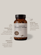 Gut + Digestive Probiotic Support | 60 Capsules
