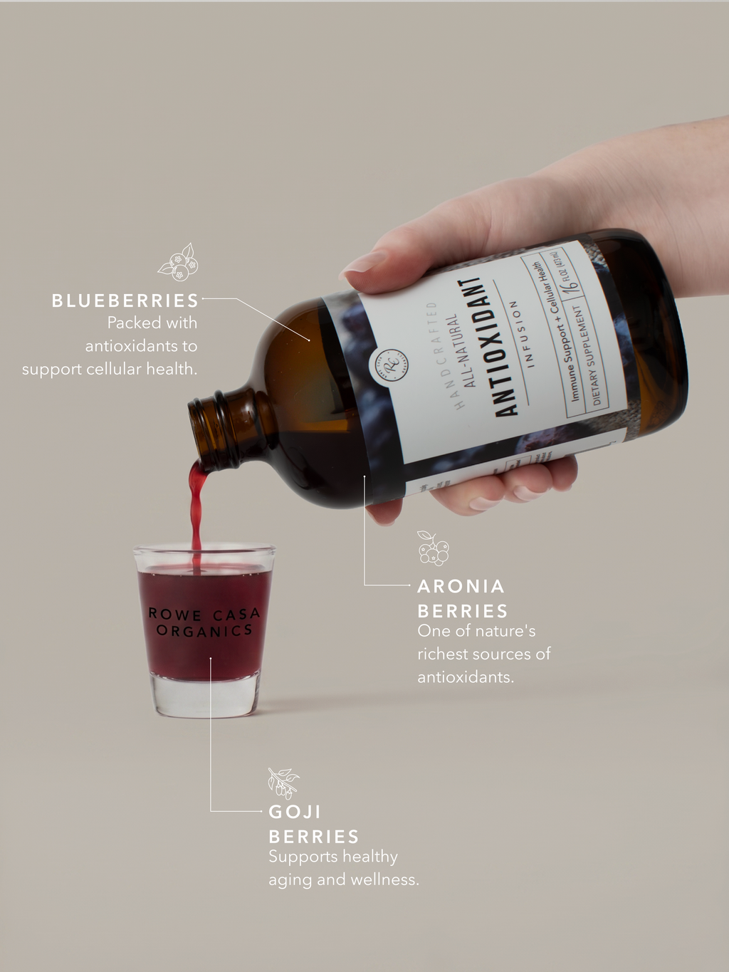 Antioxidant Infusion | 16 oz
