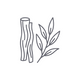 White Willow Bark