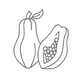 Organic Papaya Seed Oil