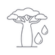 Organic Baobab Seed Oil