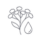 Blue Tansy Essential Oil