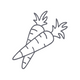Carrot Seed Oil