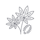 Castor Oil