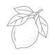 Citric Acid