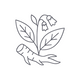 Comfrey Root