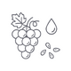 Grapeseed Oil