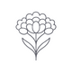Helichrysum Essential Oil