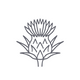 Organic Milk Thistle