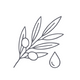 Olive Leaf Extract