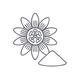 Passion Flower