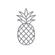 Pineapple Juice