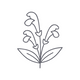 Skullcap