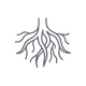 Valerian Root Extract